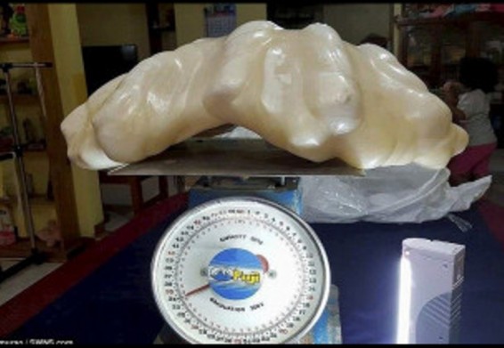 Ֆիլիպինցի ձկնորսը 34 կգ կշռող հսկա մարգարիտ է հայտնաբերել