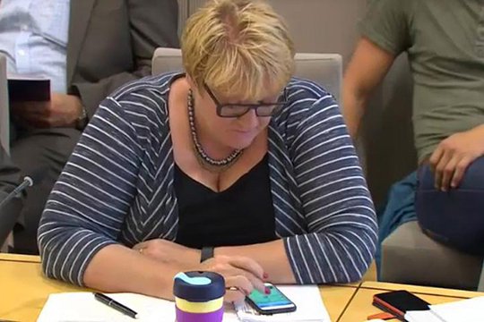 Նորվեգացի քաղաքական գործիչը պոկեմոններ է բռնել կառավարության նիստի ժամանակ