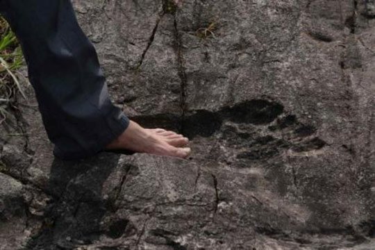 Չինաստանում հայտնաբերվել է մարդու հսկայական քարացած հետքեր