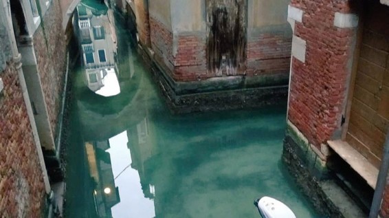 Коронавирус в Италии: карантин помог очистить воду в каналах Венеции