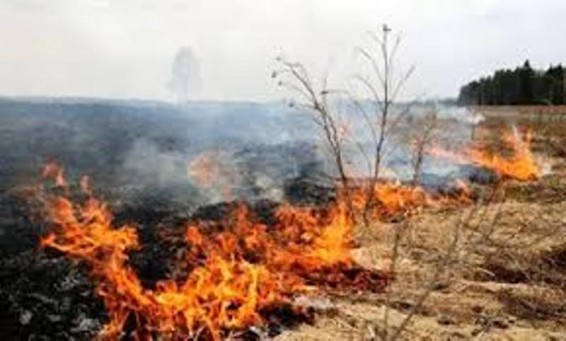 Ինդոնեզիայում անտառային հրդեհների պատճառով խախտվել է ներքին ավիահաղորդակցությունը