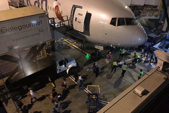 Լոս Անջելեսի օդանավակայանում հայտարարված տագնապը, պարզվում է, կեղծ է եղել