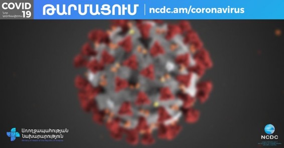 Число инфицированных коронавирусом в Армении достигло 532: 50 новых случаев за сутки