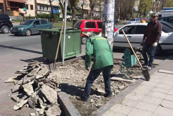 На забетонированных газонах Еревана высаживаются деревья и кустарники