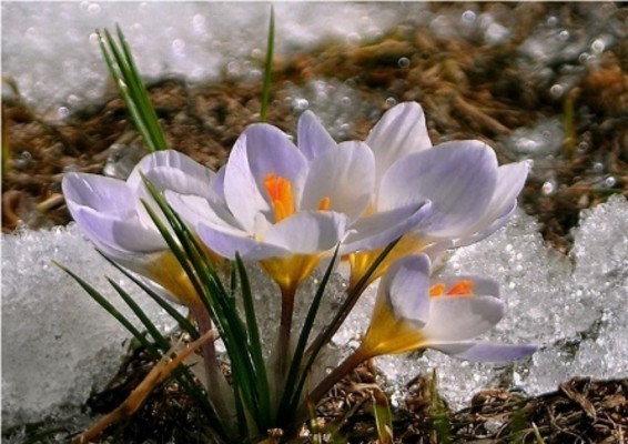 Երեւանում կլինի անձրեւ ու ամպրոպ
