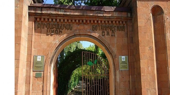 «Բուսաբանական այգու» վարձակալության տրված տարածքները օգտագործվել են դրանց նշանակությանն անհամապատասխան