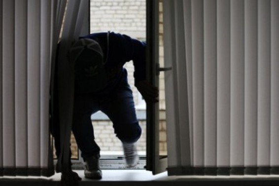 Մեկ օրում բացահայտվել է գողության 8, խարդախության 7 դեպք