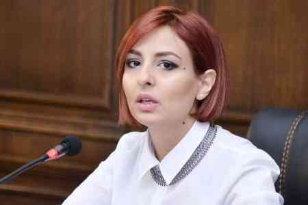 Ձեր ջանքերը համարժեք չեն ձեր հայտարարած նպատակներին. Անի Սամսոնյան