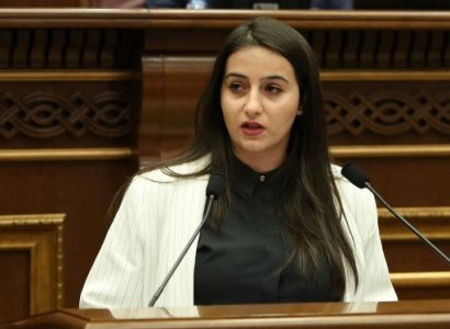 ԼՀԿ-ն հատուկ ծրագրային ավտոմատացված համակարգի շուրջ պարզաբանումներ է խնդրել պարետ Ավինյանից