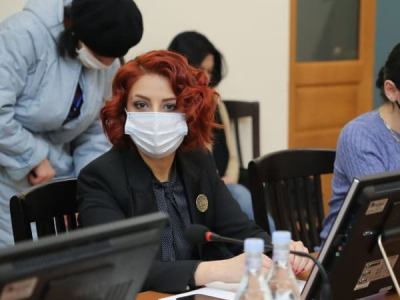 Անի Սամսոնյանը տուն ինտերնատների միաձուլման հարցով դիմել է Մեսրոպ Առաքելյանին