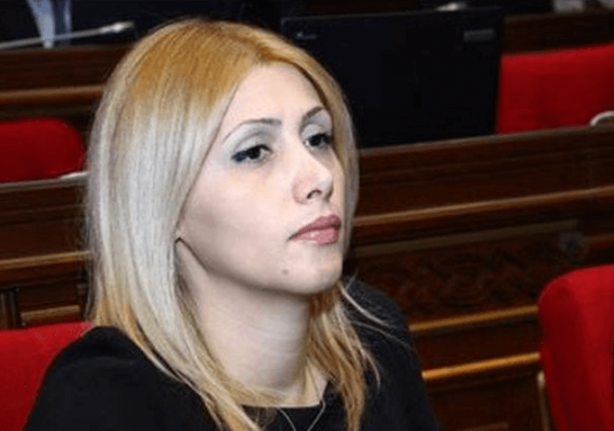 Իրավունքի ուժով՝ ՍԴ-ը հաղթեց․ Էլինար Վարդանյան