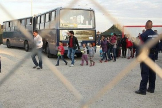 Ավստրիան սկսել է պատնեշ կառուցել Հունգարիայի հետ սահմանին