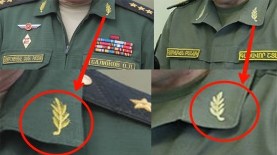 Почему хвостик лаврового листа на воротнике генералов нашей армии смотрит наружу, а у российских военнослужащих – во внутрь? – Ален Гулян