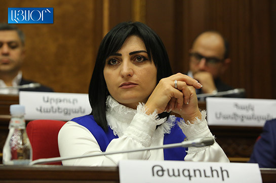 Պետական գործունեության առաջնահերթությունը պետք է լինի մարդու իրավունքների պաշտպանությունը, ոչ թե այն առավելագույնս սահմանափակելը․ Թագուհի Թովմասյան