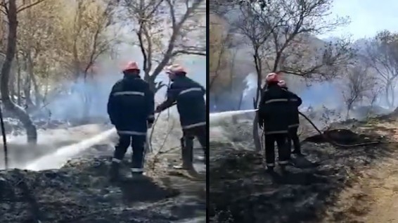 Пожарные из Ирана участвовали в тушении пожара, вспыхнувшего в лесной зоне в Мегри