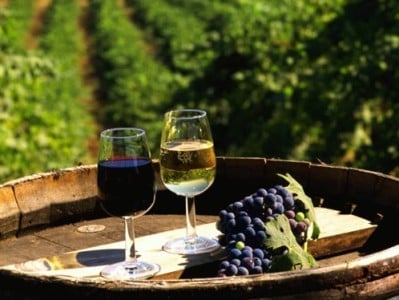 Արմավիրի մարզում տրվել է նորարարական գինու զբոսաշրջության ծրագրի մեկնարկը