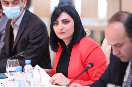 Շարունակում ենք բախվել երեխաների իրավունքների խախտման բազմաթիվ դեպքերի հետ. Թագուհի Թովմասյան