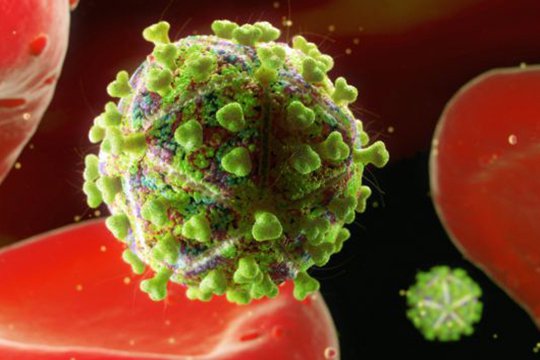 Ամեն 10-րդ երեխա ՁԻԱՀ-ի նկատմամբ իմունիտետ ունի