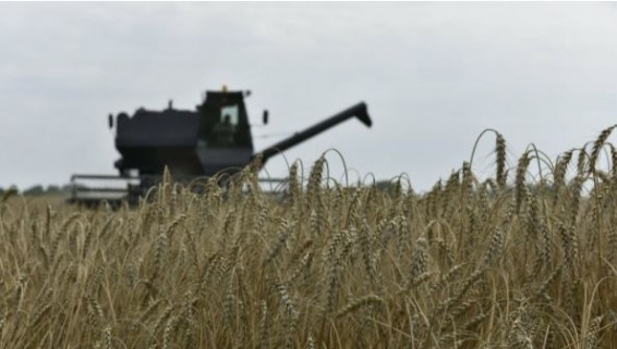 В Армении создают 