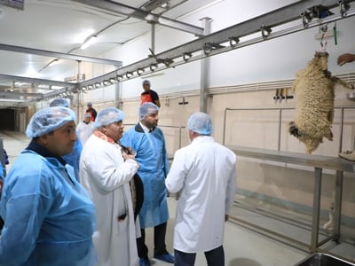 Վահան Քերոբյանն այցելել է «Արզնի մսամթերք». ոչխարի հերթական խմբաքանակը կարտահանվի Կատար
