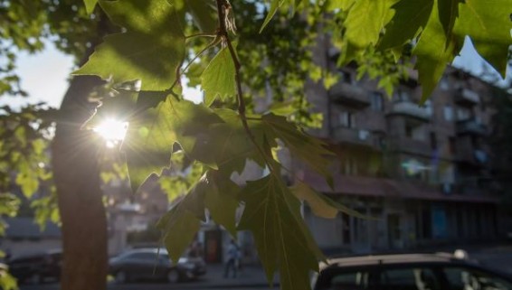 Национальный центр онкологии призвал жителей Армении избегать прямых солнечных лучей