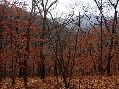 Եղանակը Հայաստանում