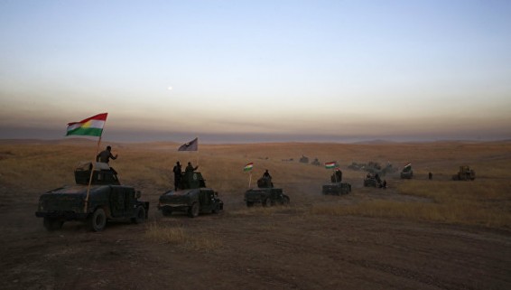 Власти Турции рассматривают несколько вариантов участия в операции в Мосуле