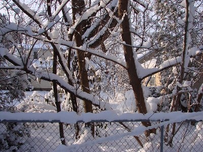 Եղանակը Հայաստանում