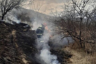 Լոռու մարզում այրվել է մոտ 40 հա խոտածածկույթ