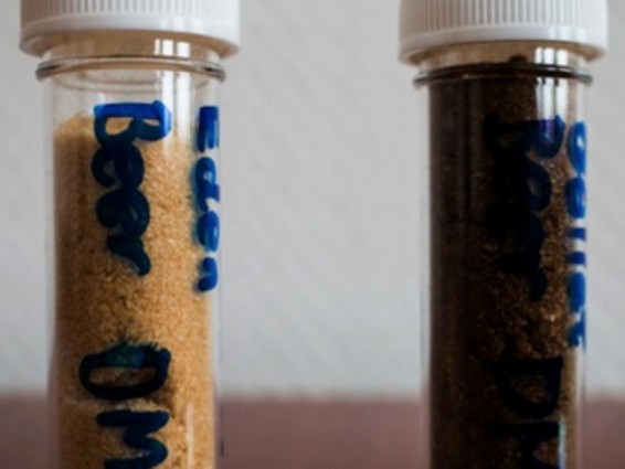 Դանիացի գարեջրագործերը լուծվող գարեջուր են ստեղծել