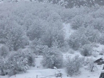 Ջերմուկում ապօրինի որս է իրականացվել