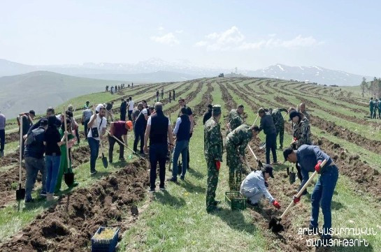 Քրեակատարողական հիմնարկների ծառայողները մասնակցել են համապետական ծառատունկին