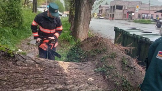 Повреждены кровли крыш, повалены деревья - последствия порывистого ветра в Армении