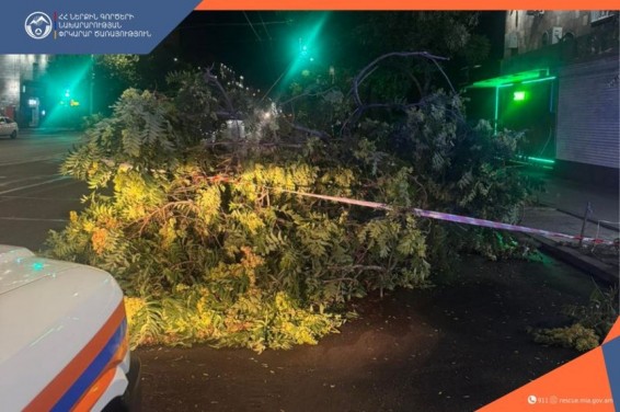 Քամու հետևանքով գրանցվել է 33 արտակարգ դեպք․ տապալվել են ծառեր, վնասվել տանիքներ, պատուհաններ, այրվել մալուխներ