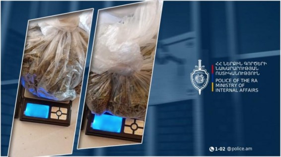 Այգեգործների փողոցի բնակչի տանը հայտնաբերվել է կանեփի բույս և դեղնականաչավուն զանգվածով 2 տոպրակ