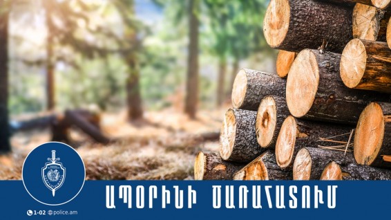 Արմավիրի համայնքային ոստիկաններն ապօրինի ծառահատման դեպք են բացահայտել