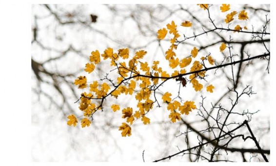 На выходных в Армении станет холоднее