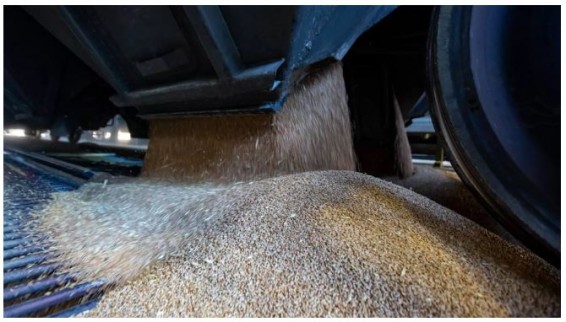 В Минэке Армении не знают, насколько эффективно импортировать пшеницу через Азербайджан