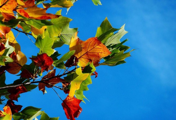 В Армении потеплеет вплоть до 25 градусов