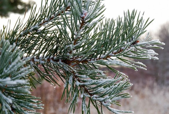 Снег в горах, дожди и похолодание на 3-4 градуса прогнозируются в Армении