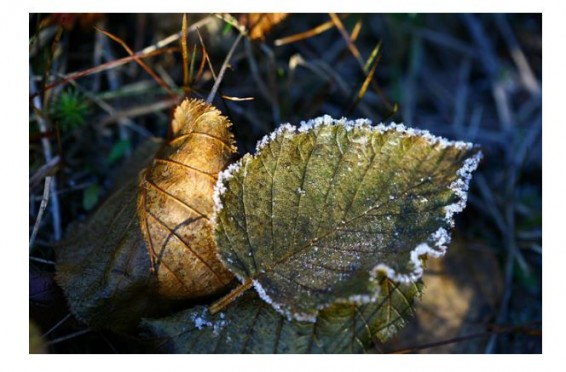 В Ереване похолодает
