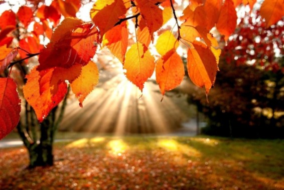 Եղանակը Հայաստանում