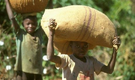 Известная корпорация Nestle обвиняется в использовании детского труда