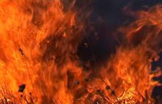 ԱՄՆ-­ի Թենեսիի նահանգում յոթ մարդ Է զոհվել անտառային հրդեհներից