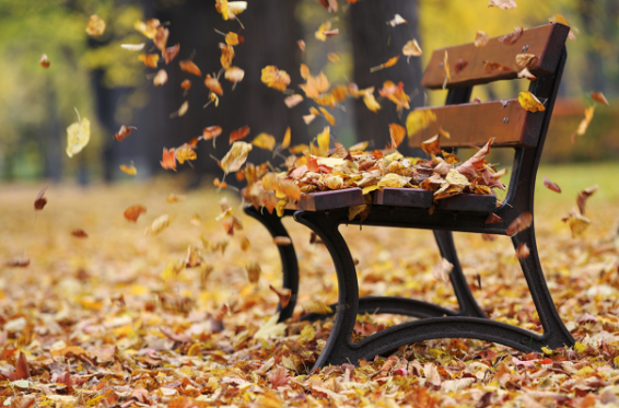 ՀՀ առանձին շրջաններում սպասվում է քամու ուժգնացում 15-20մ/վրկ. ԱԻՆ