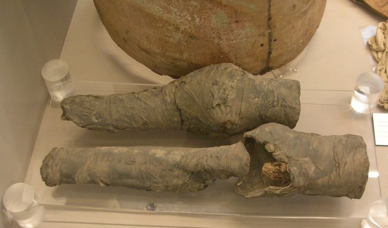 Photo. Գիտնականները հայտնաբերել են Նեֆերտիտի թագուհու մումիֆիկացված ոտքերը