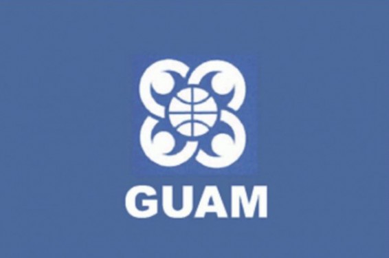 ԳՈւԱՄ-ի արտգործնախարարները Համբուրգում կորոշեն հաջորդ տարվա առաջնահերթությունները