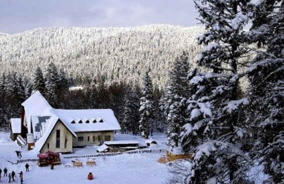 2020 թվականին Բակուրիանիում Սառցե պալատ կկառուցեն