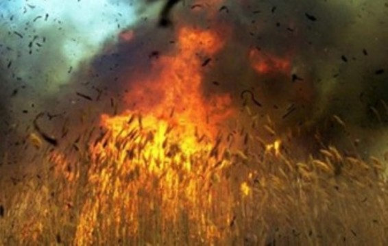 Հրդեհներ խոտածածկ տարածքներում