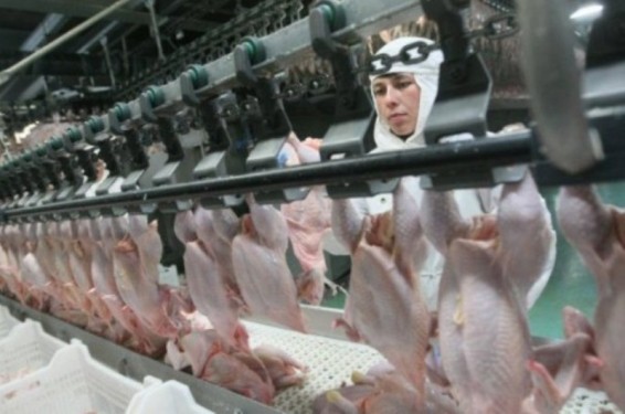 Ռուսաստանը մտադիր է արգելել ԵՄ որոշ երկրներից թռչնամսի և ձվի ներկրումը